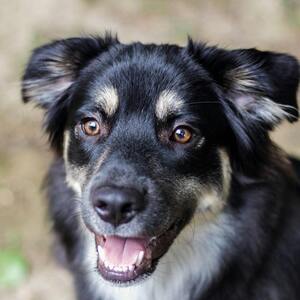 Fundraising Page: Brian Emil